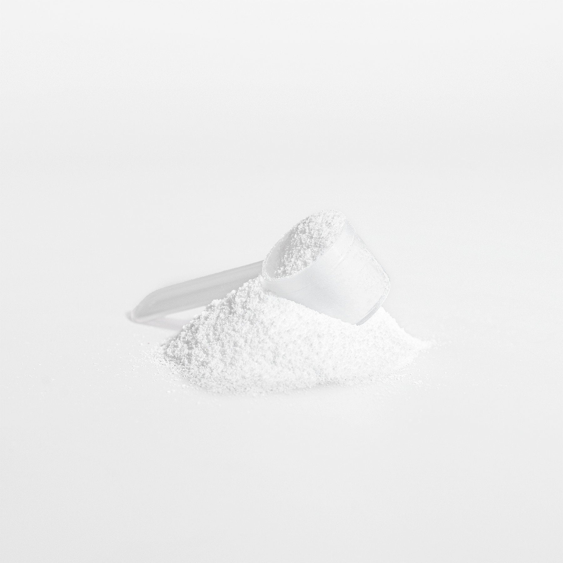 Creatine Monohydrate - WILLPOWER Nutrition