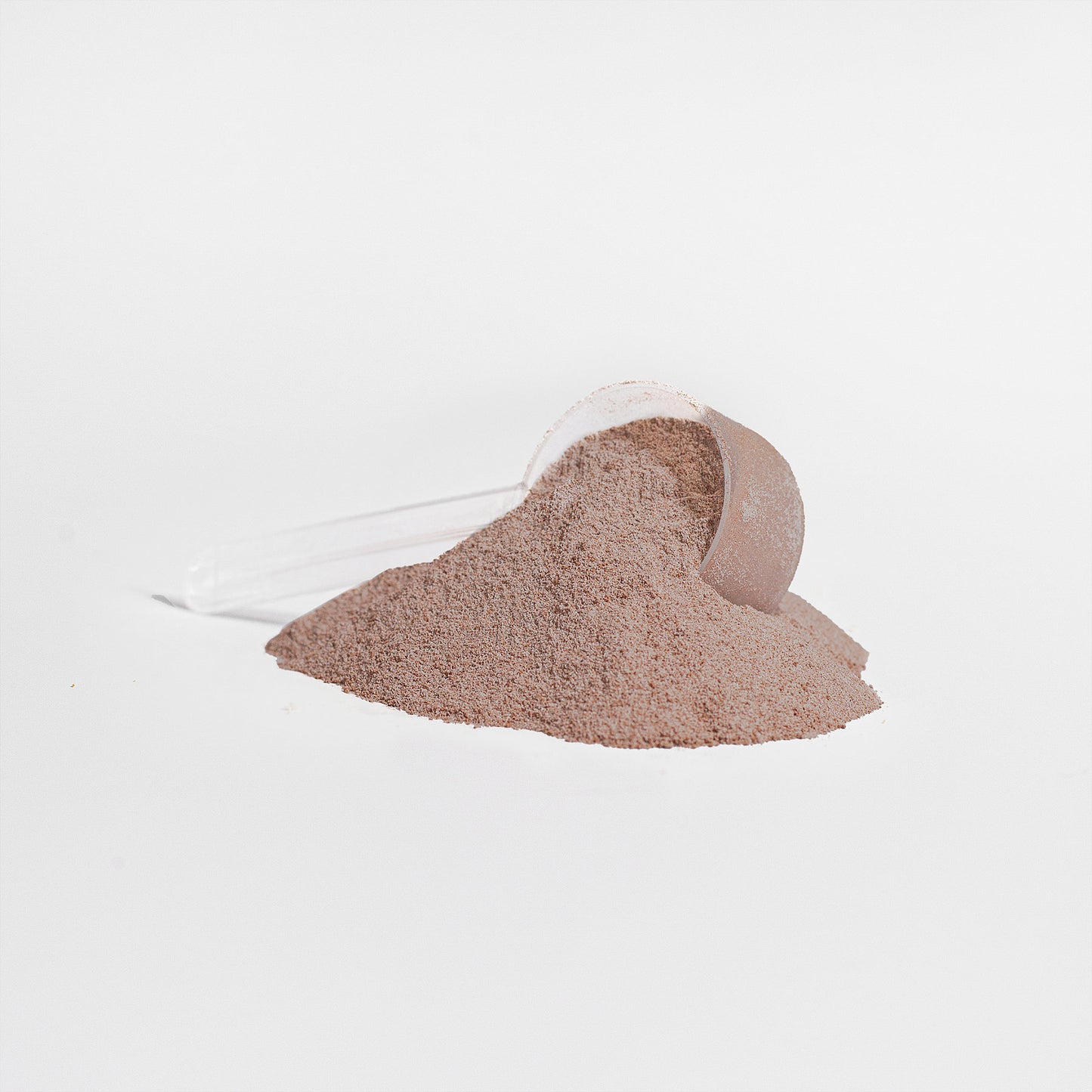 WHEY XCEL CHOCOLATE - WILLPOWER Nutrition